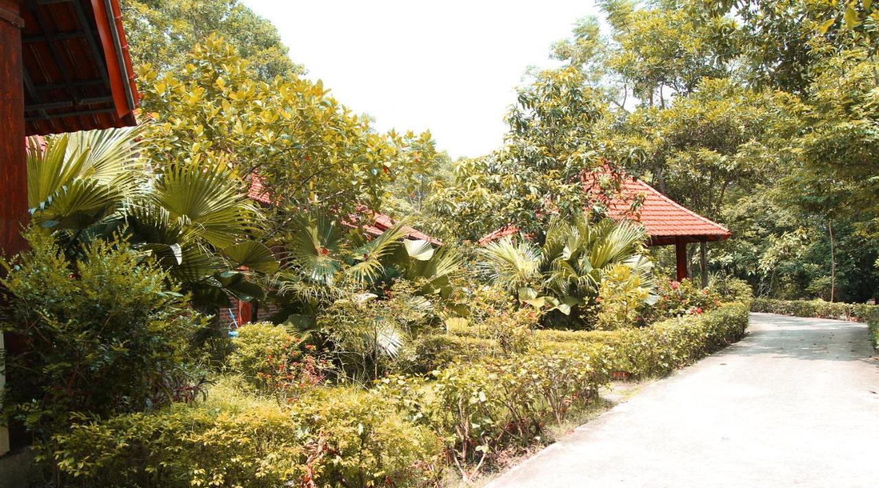 Hang Mua Valley Homestay Ninh Binh Eksteriør billede