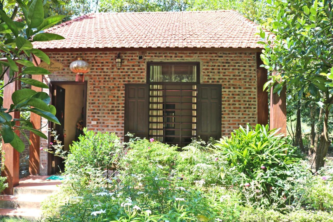 Hang Mua Valley Homestay Ninh Binh Eksteriør billede
